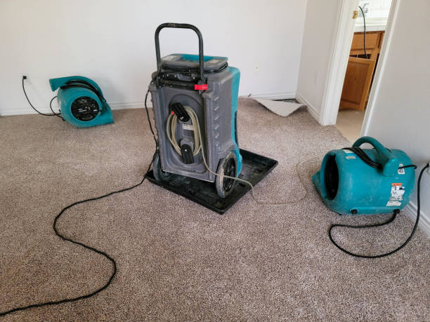 Best Ceiling water damage repair  in South Greeley, WY