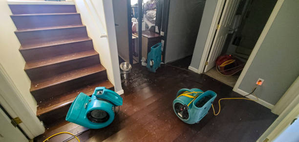 Carpet water damage restoration in South Greeley, WY