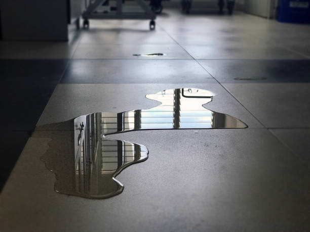 Best 24-hour water damage restoration  in South Greeley, WY