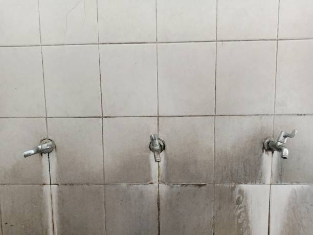 Best Mold removal after water damage  in South Greeley, WY