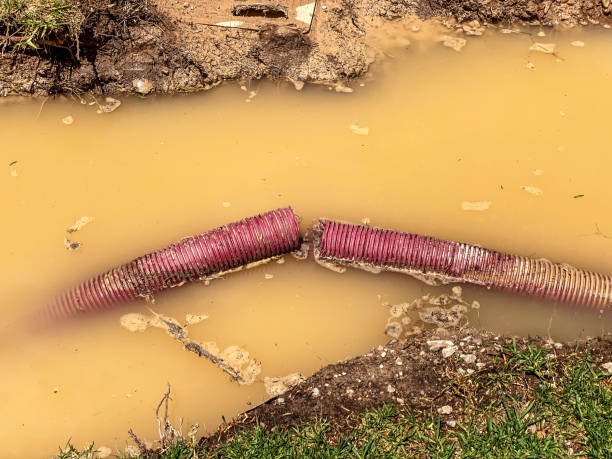 Trusted South Greeley, WY Water damage restoration Experts