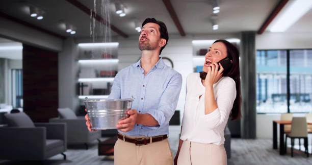 Best Residential water damage restoration  in South Greeley, WY